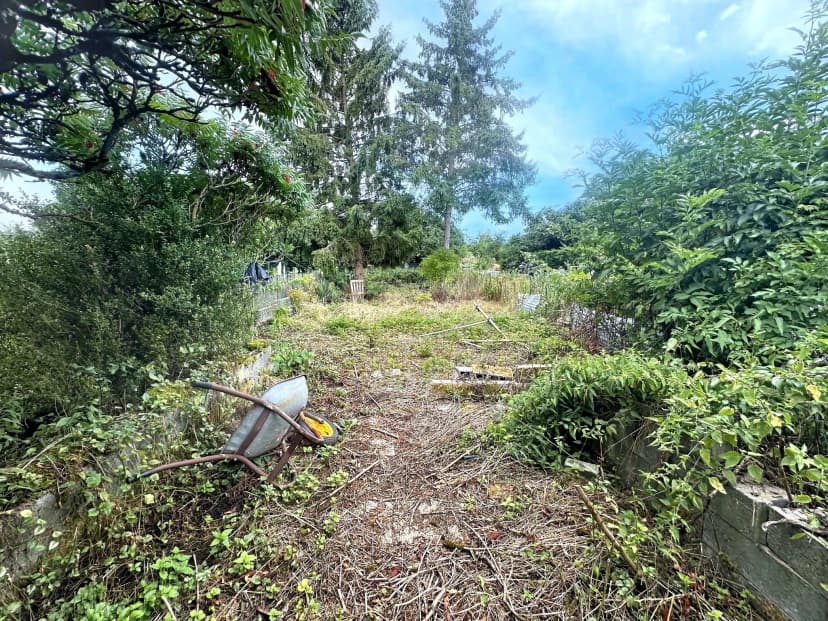 thumbnail of estate's photo