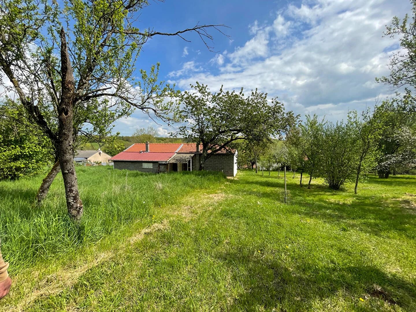 photo estate n°724698
