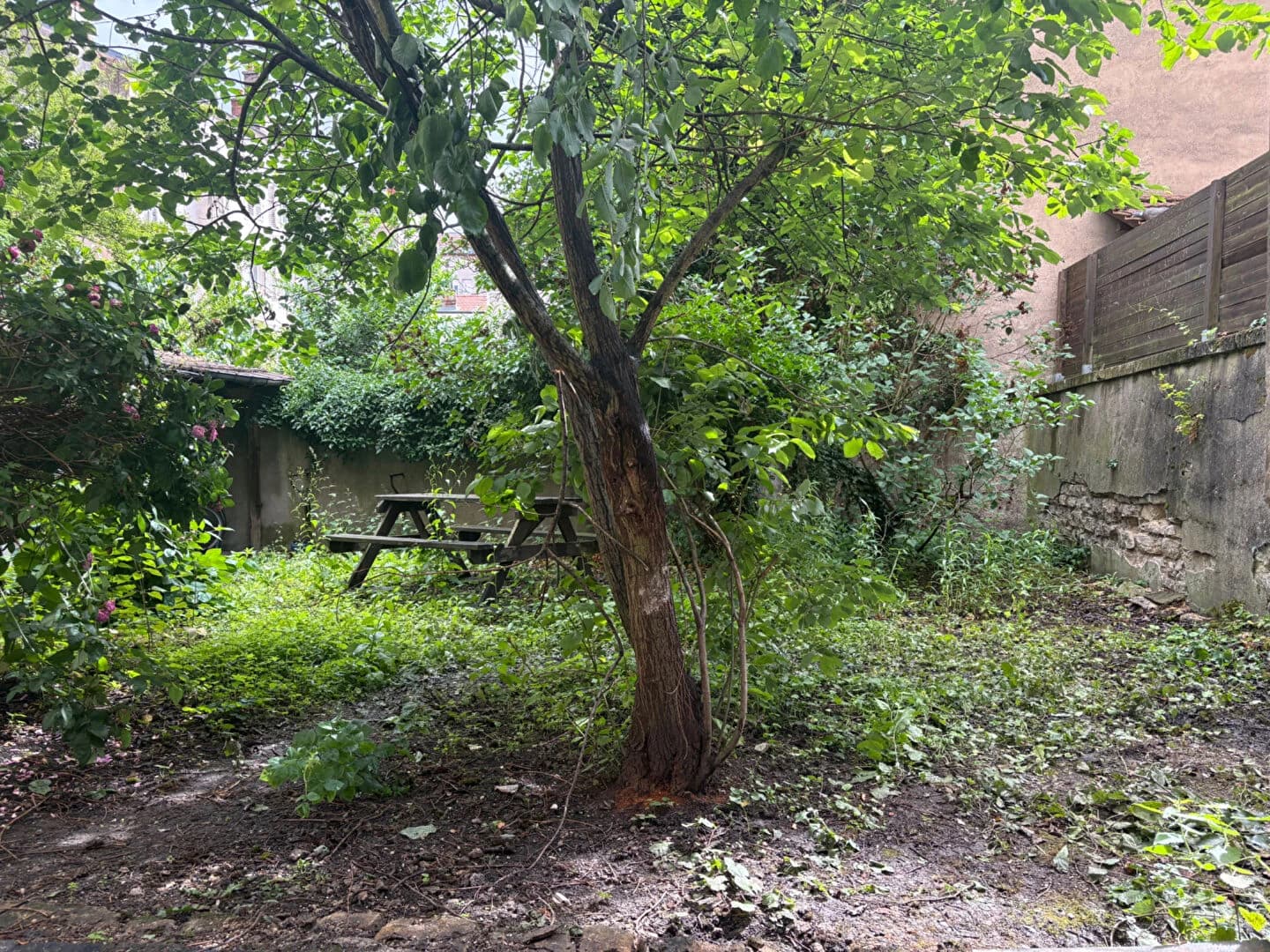 724871 photo