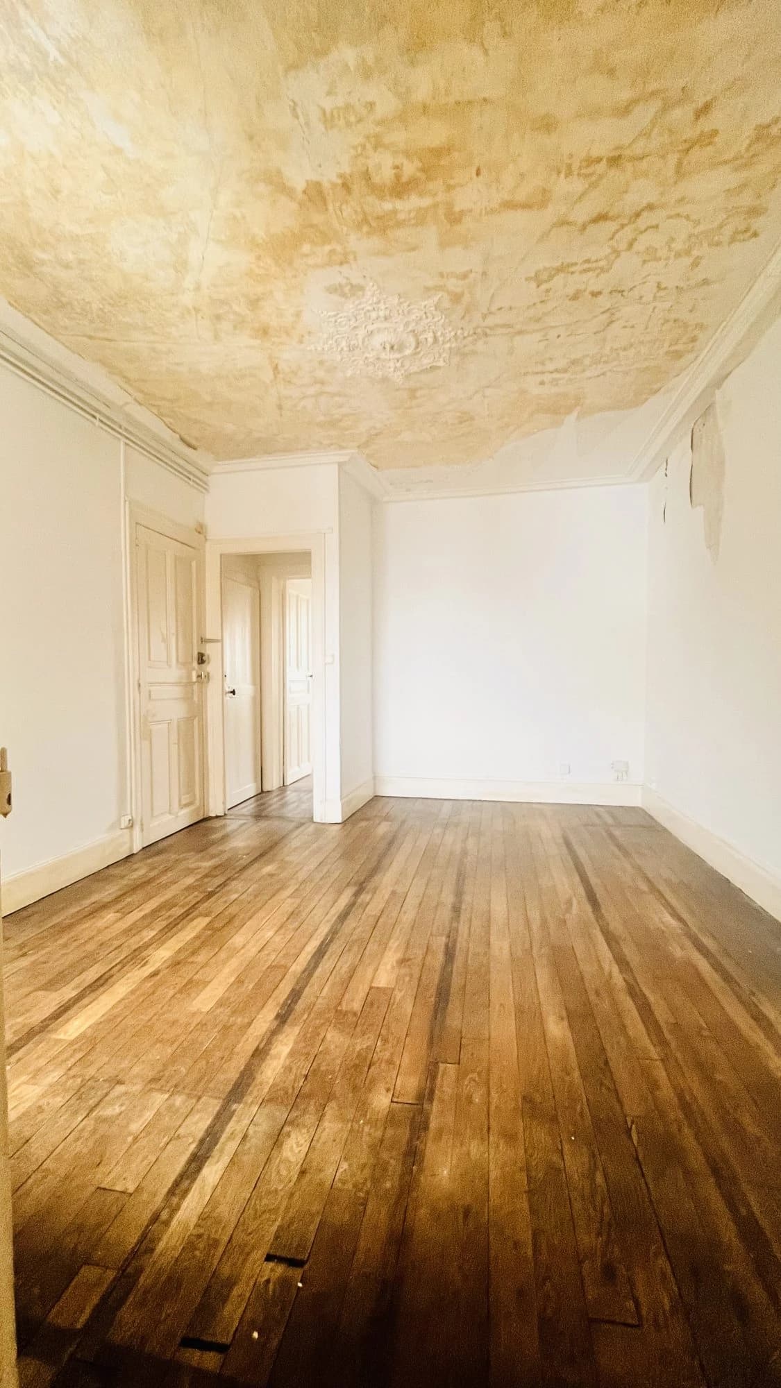 photo estate n°725813