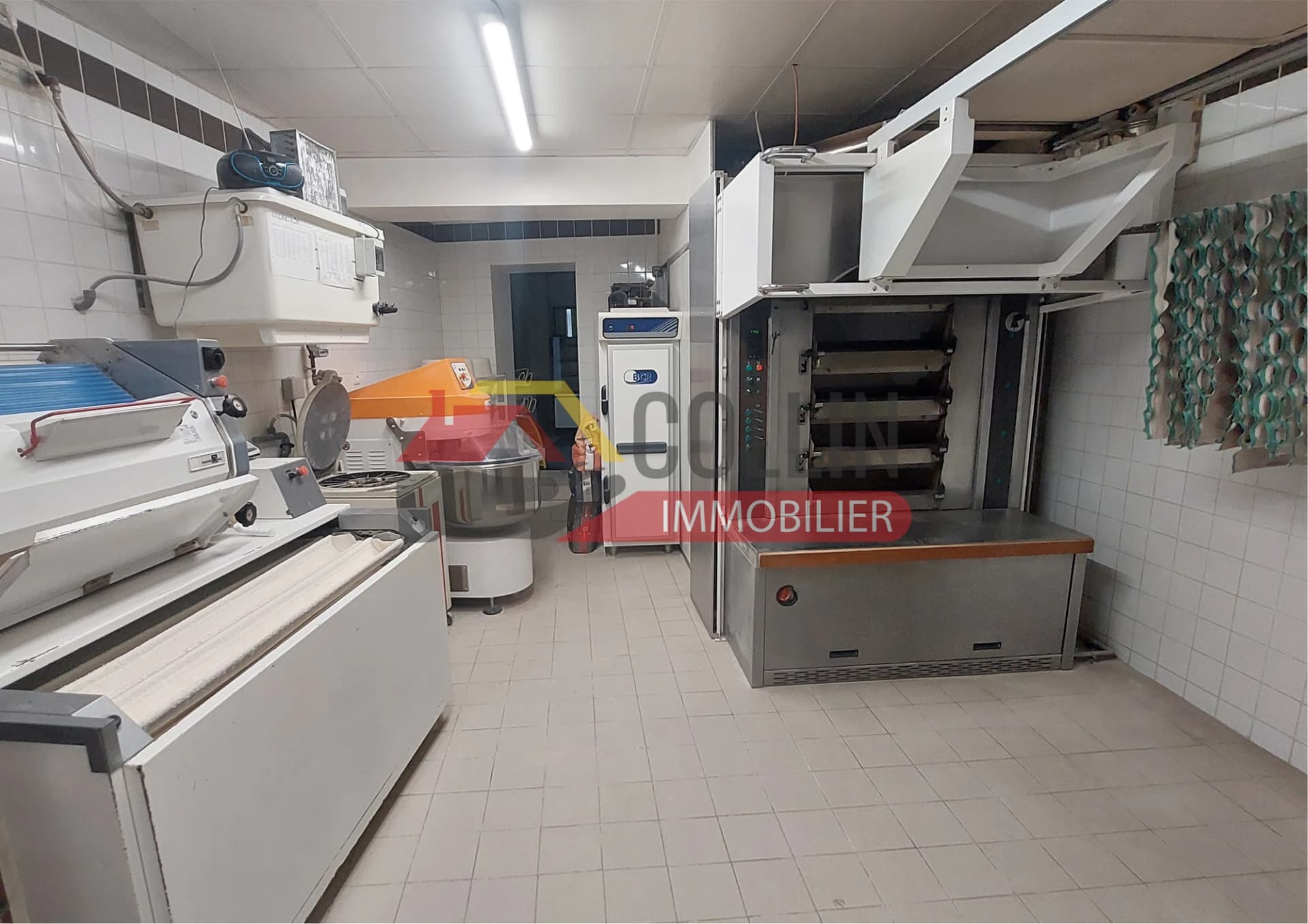 photo estate n°725695